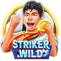 Tiền Đạo Hoang Dã game thumbnail